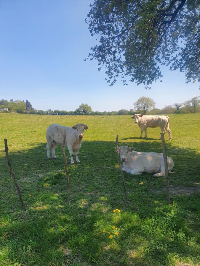 Villa Fleur De Lys Au Puy Du Fou - Stayinvendee La Gaubretiere Exterior foto